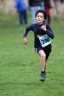 Blue 200, North East Harrier League, Sunderland